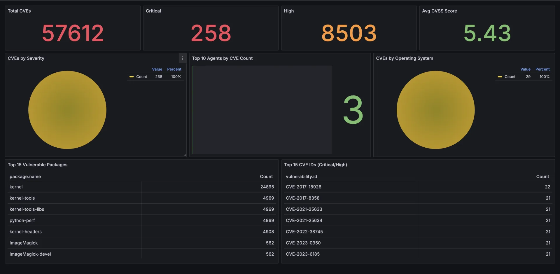 Vulnerability dashboard showing total CVEs, severity breakdown, and the most affected packages and hosts